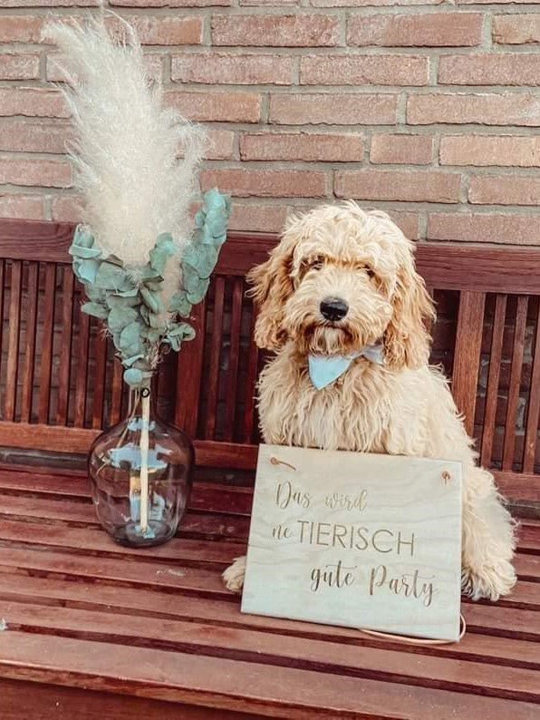 Hochzeitsschilder "Hier kommt die Braut" für Kinder - Wachshinaus