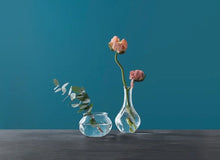 Lade das Bild in den Galerie-Viewer, Vasen klar in verschiedenen Formen - Wachshinaus
