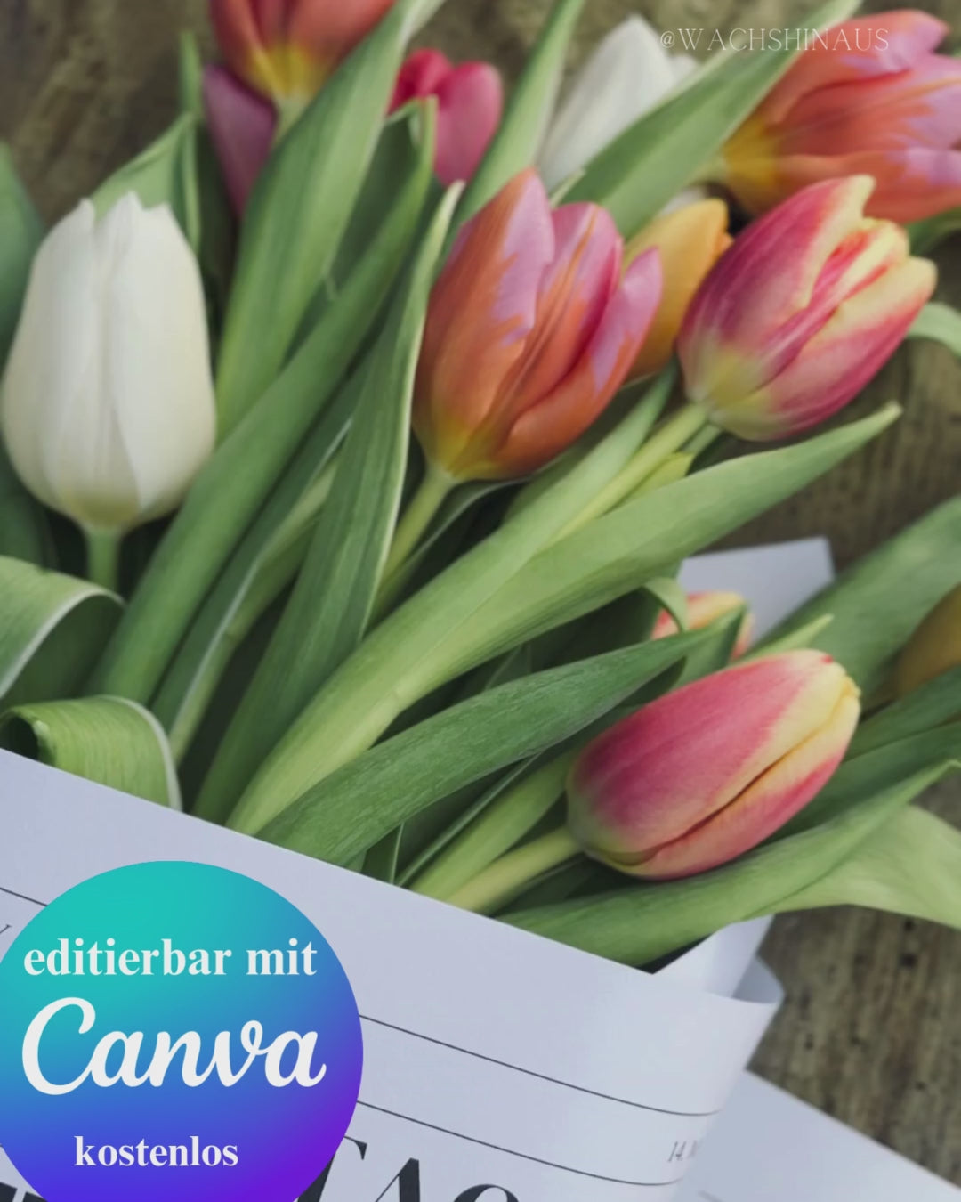 Geburtstagszeitungsvorlage, benutzerdefinierte Zeitung zum Geburtstag-Kindergeburtstag, Canva Vorlage, Namensposter, Meilensteintafel, Meilensteinposter, erster Geburtstag, Einschulung, sechster Geburtstag, Kommunion, zehnter Geburtstag, achter Geburtstag, Kitaabschluss, Schulkind